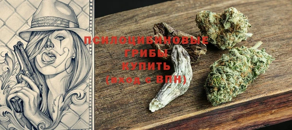 индика Алзамай