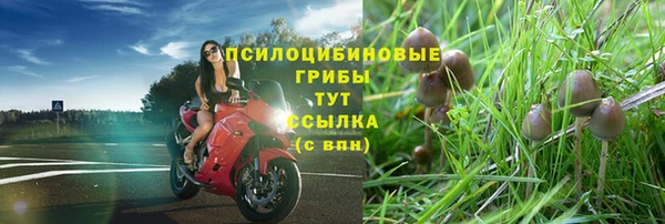 дурь Абаза