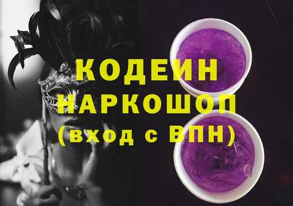индика Алзамай