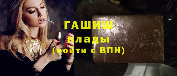индика Алзамай