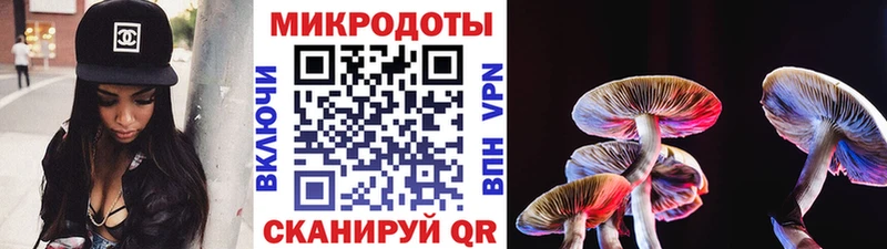 Псилоцибиновые грибы Psilocybe  Звенигород 